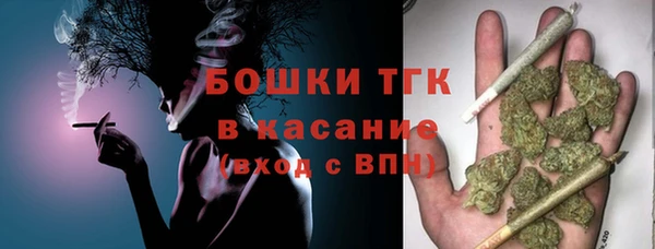 стафф Арсеньев