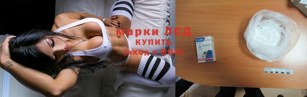стафф Арсеньев