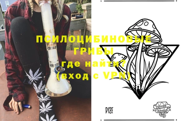стафф Арсеньев