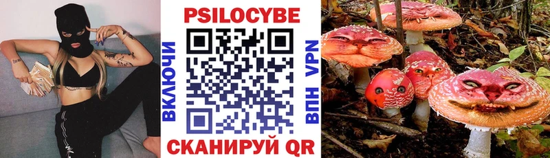 Псилоцибиновые грибы Cubensis Суоярви